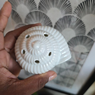 SALE - White Nautilus Shell Lidded Bowl