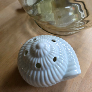 SALE - White Nautilus Shell Lidded Bowl