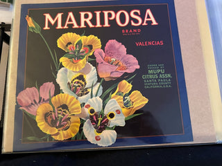 Mariposa Authentic Citrus Farm Crate Label EC061-25 MTS