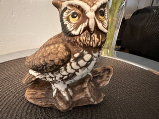 Owl China Wings Closed MTS|89874