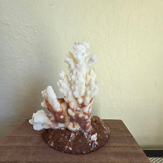 Sea Coral Figurine