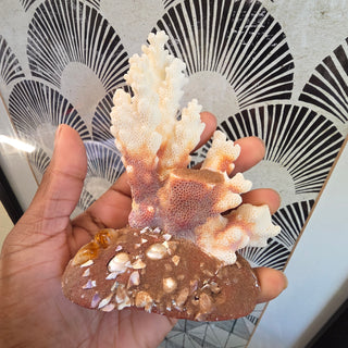Sea Coral Figurine