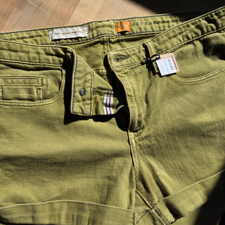 Pilcro & the Letterpress | Green Jean Shorts (32)