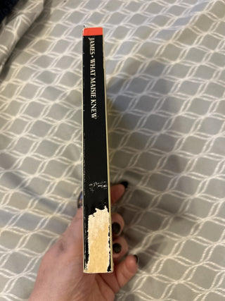 12F What Maisie Knew by Paul Theroux and Henry James 1988 MTS|73285