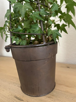 LIVE ENGLISH IVY TOPIARY WITH BRONZED METAL FORM 22.5 X 5 TOP CAN BE REMOVED (KJS) RCD|71890