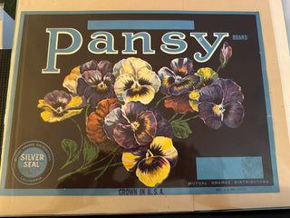 Pansy Authentic Citrus Farm Crate Label EC071-30 MTS|100359