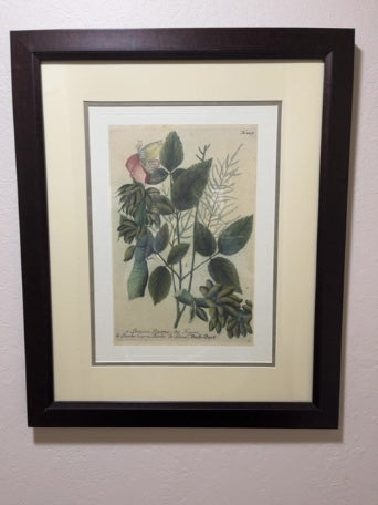 Vintage Picture Frames & Antique Photo Frames | Bliss Marketplace