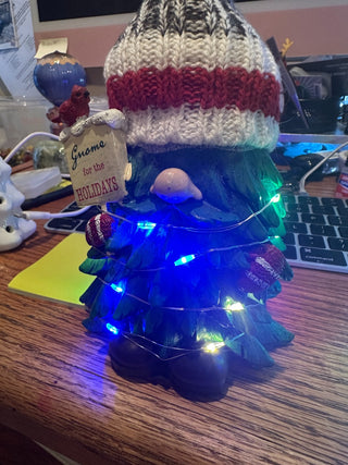"Gnome for the Holidays" resin figurine w/lights 7" RCD|95924