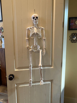 Skeleton - 36 " w/moveable/posable joints.|109875