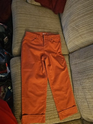 Style & Co  Curvy Capris