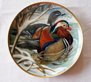 Water Birds of the World - Mandarin Duck 9" Porcelain Collector Plate 1981 #47 VV MTS