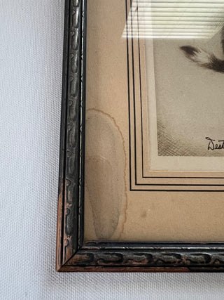 Vintage kitten framed print|74472