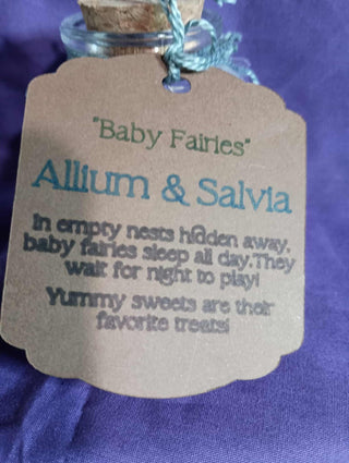 Baby fairy jarsmall  rsv|92156