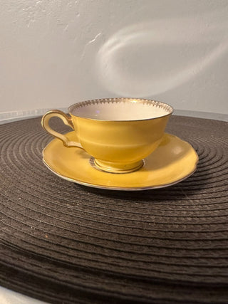 Vintage Teacup Tirschenreuth Demi 828 MTS
