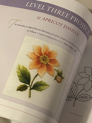 Needle Painting Embroidery Book, Burr PB--SP RCD
