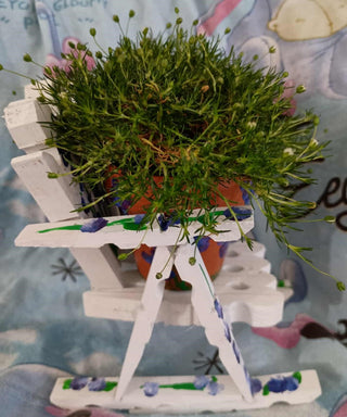 fae rocking chair pot rsv|88285