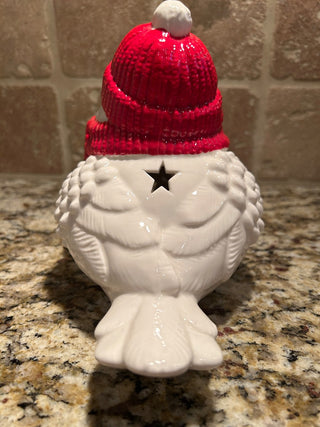Light-Up Winter Bird Figurine   MTS|125070