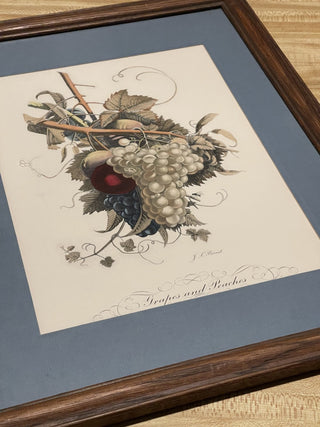 18"x13.5" Framed Grapes & Peaches Print, Prevost--SP RCD
