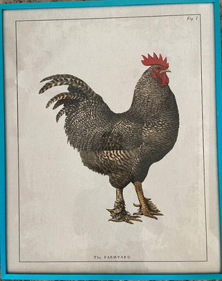 DISTRESSED LOOK ROOSTER PRINT IN METAL TURQUOISE FRAME HANGER ON BACK GREAT CONDITION  16.5 X 21 (KJS) RCD