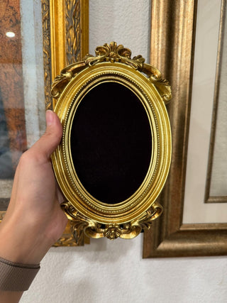 DISPLAY-Black Velvet Deer