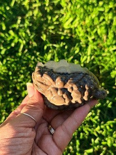 Volcano Agate Pixiu