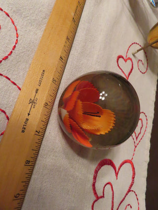 Orange flower Paper holder MTS