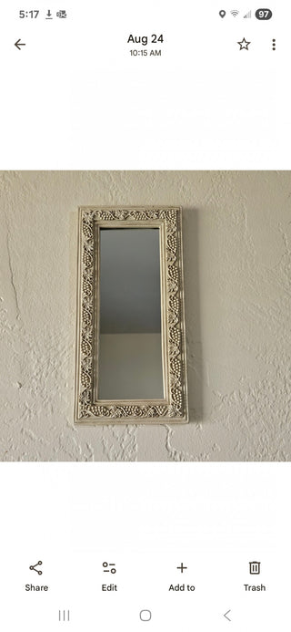 White Grapes Framed Mirror (BRI) - MTS|111905