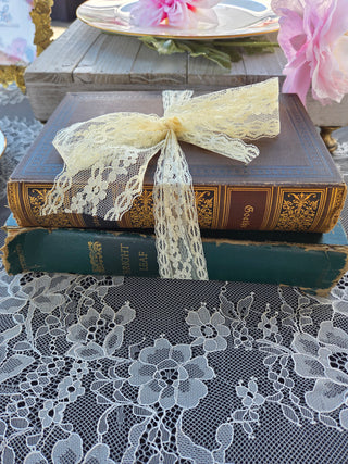Vintage Book Bundle w/ Ribbon (2books)- RSV
