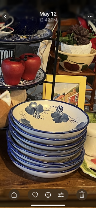 Made in Italy blue & white dishes RCD|81571