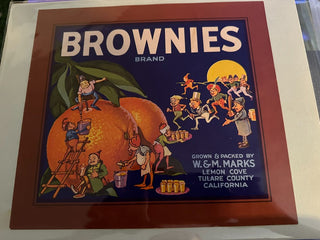 Brownies Authentic Citrus Farm Crate Label EC009 MTS