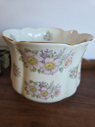 Royal Tara Irish Bone China Planter Pot