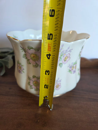 Royal Tara Irish Bone China Planter Pot