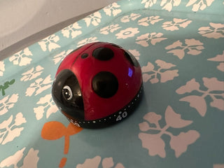Timer Ladybug MTS|115272