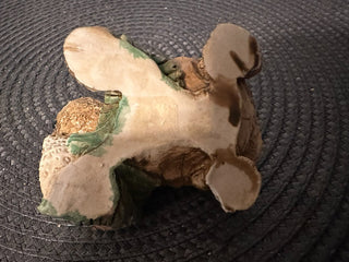 Turtle & Strawberry Molded|55891