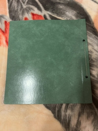 JP NEW Green Vintage Art Deco Scrapbook