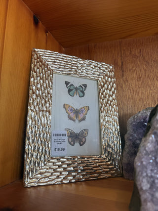 Silver Framed Butterfly print (wtwf)RSV