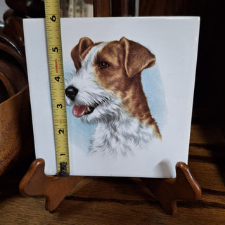 Jack Russell Terrier Decorative Ceramic Tile MTS *
