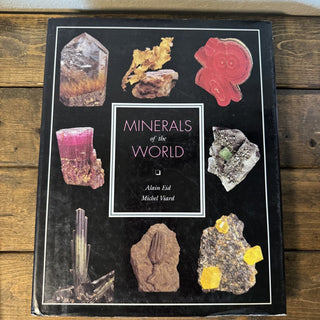 Minerals of the World Book MTS
