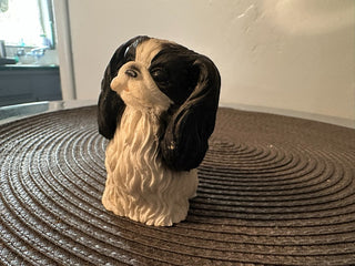 Dog Shitz Shu MTS|89855