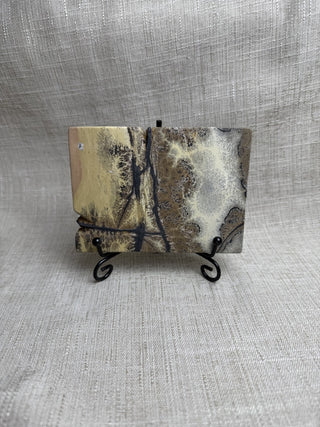 Polished Picture Jasper Slab w/ black stand|52537