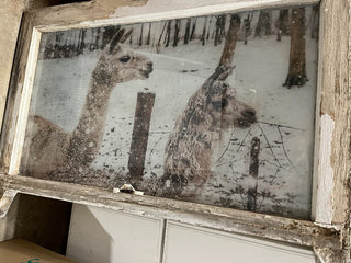 Custom Designed Llama Vintage Window. RSV