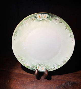 VTG Silesia hand painted green floral porcelain plate NM MTS|115299