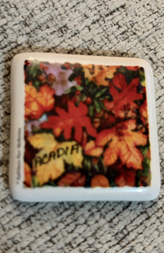 Magnet - Acadia National Park, Maine RCD