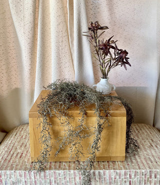 Grey Moss Decor