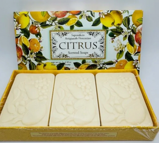Saponifico Artigianale Fiorentino Soaps - Citrus - RCD