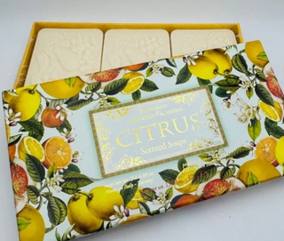 Saponifico Artigianale Fiorentino Soaps - Citrus - RCD