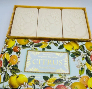 Saponifico Artigianale Fiorentino Soaps - Citrus - RCD