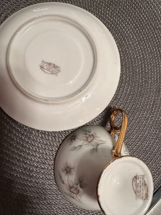 Cup/Saucer Audre Footed|38648