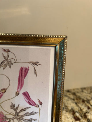 Vintage Gold Frame, 5x7”    MTS