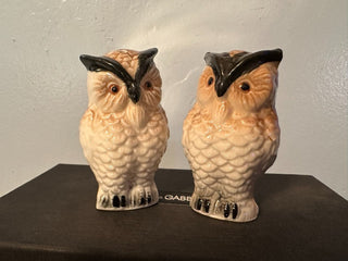 Salt & Pepper Barn Owls set MTS